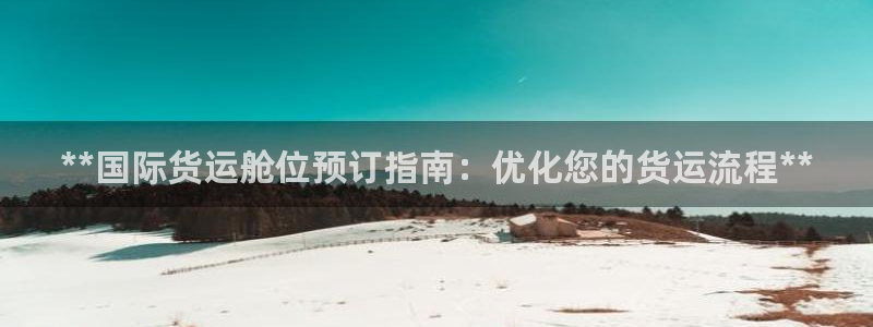 尊龙凯时只输不赢：**国际货运舱位预订指南：优化您的货运