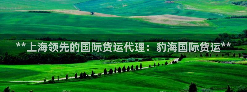 尊龙凯时取款24小时不到账：**上海领先的国际货运代理：
