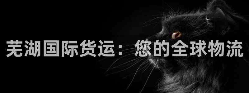 尊龙凯时白家乐Abb下载：芜湖国际货运：您的全球物流