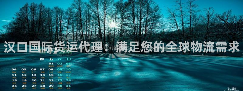 尊龙新版手机app下载：汉口国际货运代理：满足您的全球物