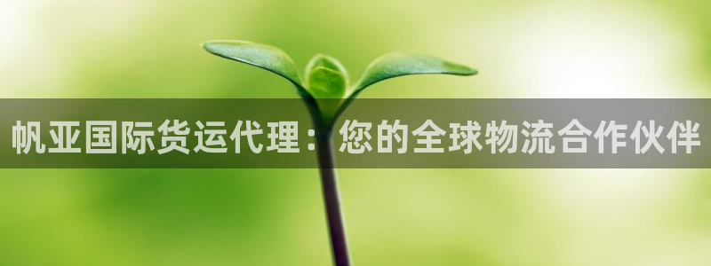 尊龙怎么没消息了：帆亚国际货运代理：您的全球物流合作伙伴