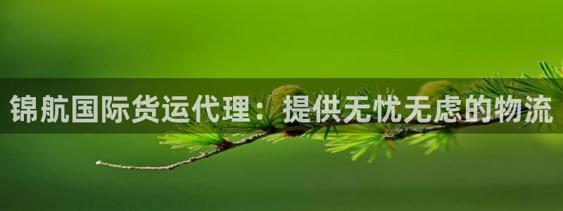 尊龙凯时ag旗舰厅登陆：锦航国际货运代理：提供无忧无虑的