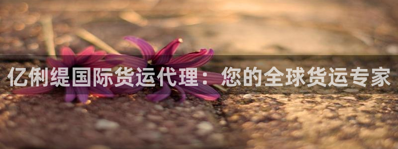 尊龙人生就是博AG旗舰厅：亿俐缇国际货运代理：您的全球货