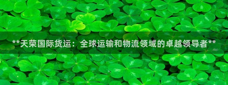 尊龙165：**天荣国际货运：全球运输和物流领域的卓越领