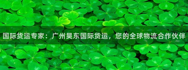 尊龙凯时人生就是博游戏网站：国际货运专家：广州昊东国际货