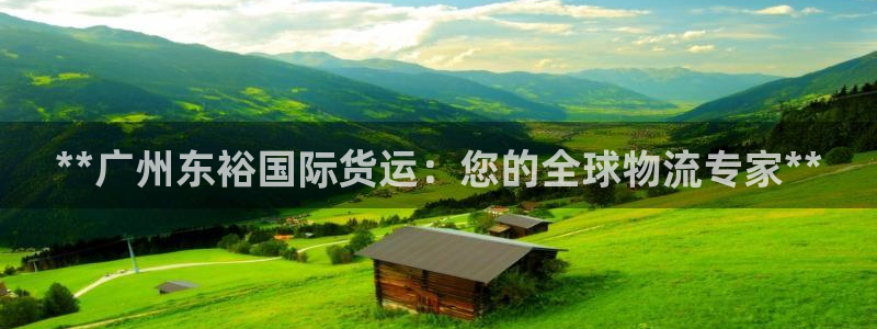 尊龙人生就是博旧：**广州东裕国际货运：您的全球物流专家