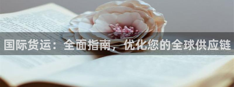 z6尊龙凯时旗舰厅首页：国际货运：全面指南，优化您的全球