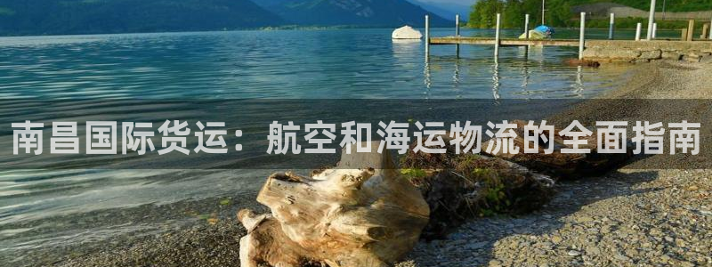 尊龙集团官网：南昌国际货运：航空和海运物流的全面指南