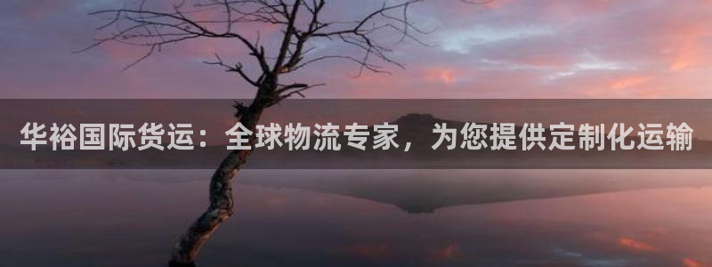 尊龙凯时贴吧：华裕国际货运：全球物流专家，为您提供定制化