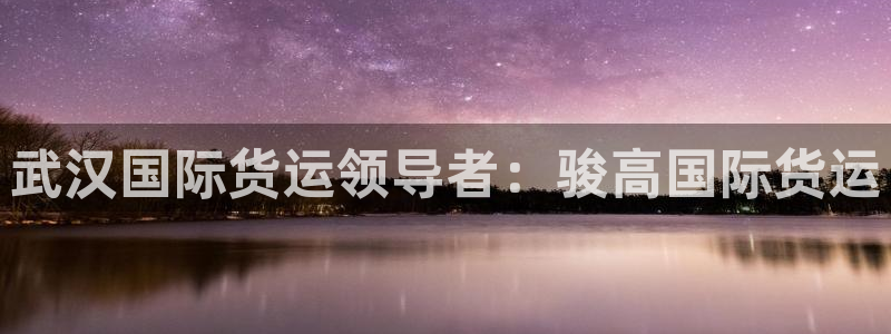 z6com尊龙凯时：武汉国际货运领导者：骏高国际货运