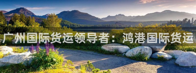 尊龙官方网站是真的吗：广州国际货运领导者：鸿港国际货运