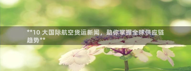 尊龙 5：**10 大国际航空货运新闻，助你掌握全球供应