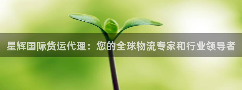尊龙凯时ag旗舰厅官方网站：星辉国际货运代理：您的全球物