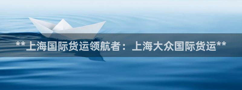 尊龙人生就是搏：**上海国际货运领航者：上海大众国际货运
