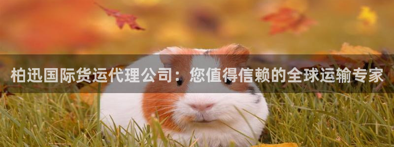 尊龙凯时注册地址：柏迅国际货运代理公司：您值得信赖的全球