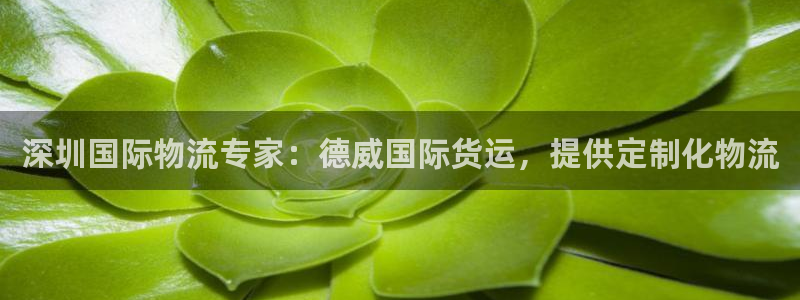 尊龙王t400：深圳国际物流专家：德威国际货运，提供定制