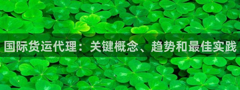 尊龙t200：国际货运代理：关键概念、趋势和最佳实践