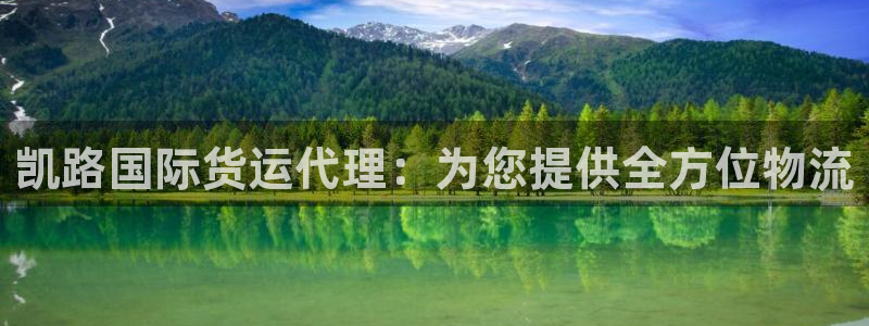 尊龙手机版下载：凯路国际货运代理：为您提供全方位物流