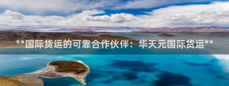尊龙凯时只输不赢：**国际货运的可靠合作伙伴：华天元国际