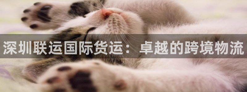 尊龙凯时输了100万：深圳联运国际货运：卓越的跨境物流