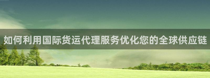 尊龙 10：如何利用国际货运代理服务优化您的全球供应链