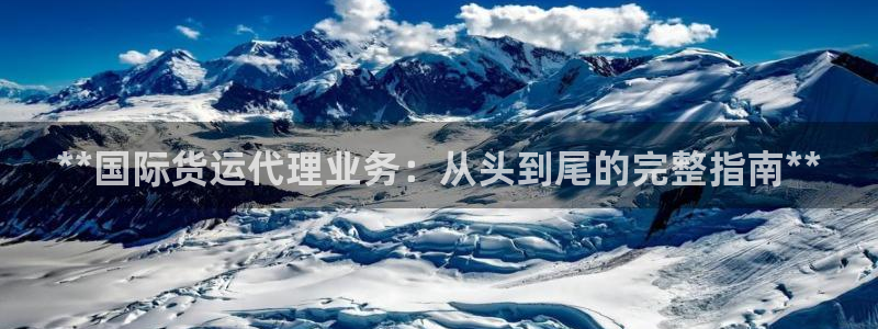 尊龙人生就是博下载：**国际货运代理业务：从头到尾的完整