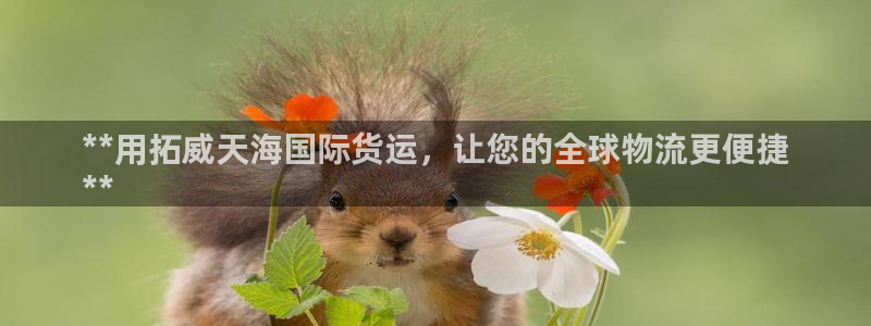 尊龙凯时提现不了：**用拓威天海国际货运，让您的全球物流