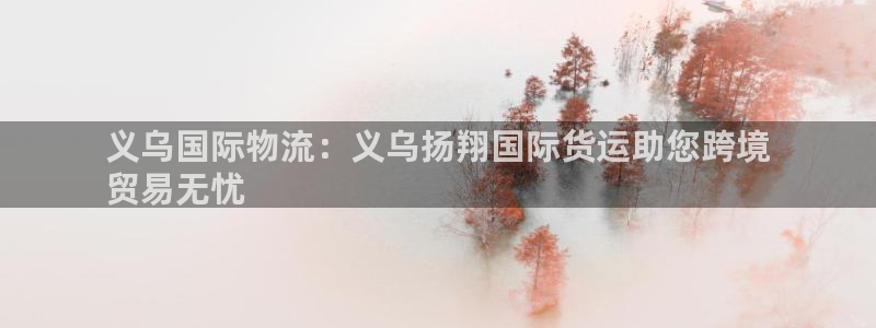 尊龙人生就是博ag：义乌国际物流：义乌扬翔国际货运助您跨