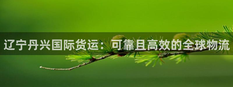 尊龙/人生就是博：辽宁丹兴国际货运：可靠且高效的全球物流