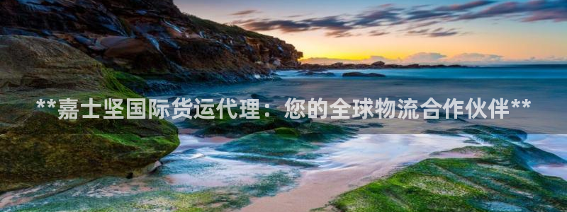 尊龙凯时平台怎么样：**嘉士坚国际货运代理：您的全球物流
