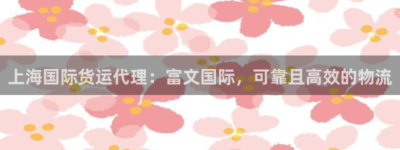 尊龙凯时官网：上海国际货运代理：富文国际，可靠且高效的物