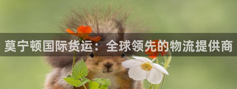 尊龙人生就是博一下下：莫宁顿国际货运：全球领先的物流提供