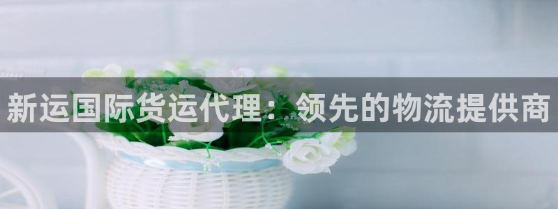 尊龙/人生就是博：新运国际货运代理：领先的物流提供商