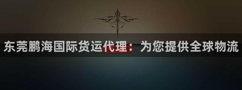尊龙专访视频：东莞鹏海国际货运代理：为您提供全球物流
