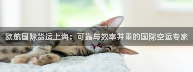 尊龙凯时怎么注销账号：欧航国际货运上海：可靠与效率并重的