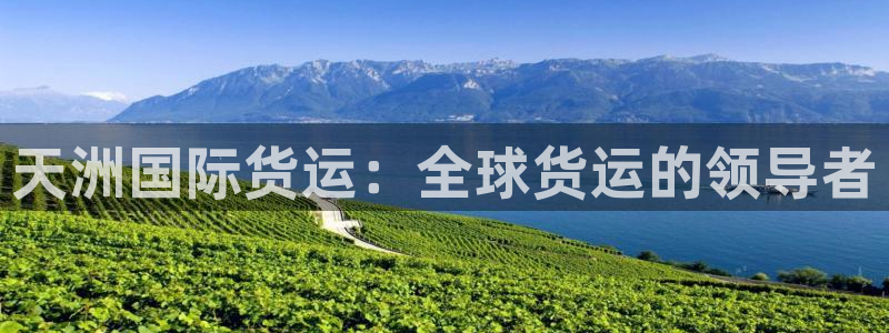 尊龙手机客户端下载：天洲国际货运：全球货运的领导者