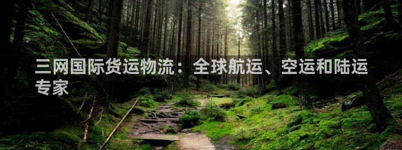 尊龙Ag：三网国际货运物流：全球航运、空运和陆运
专家