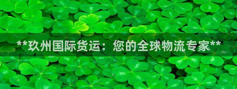 尊龙官网下载：**玖州国际货运：您的全球物流专家**