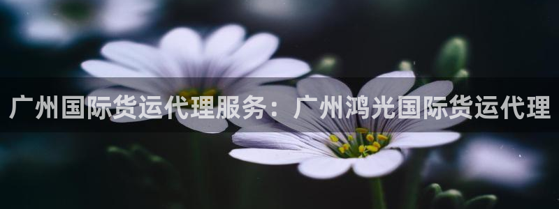 尊龙d88手机登录免费下载：广州国际货运代理服务：广州鸿