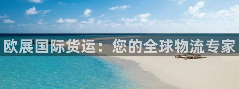 尊龙官网网站：欧展国际货运：您的全球物流专家