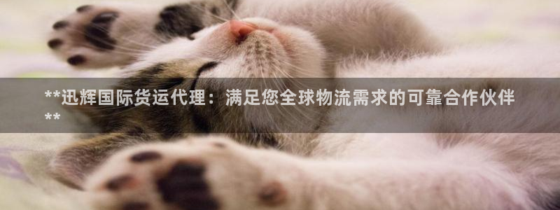尊龙凯时网：**迅辉国际货运代理：满足您全球物流需求的可
