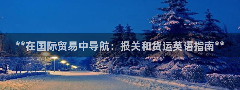 尊龙实业有限公司属于国企吗：**在国际贸易中导航：报关和