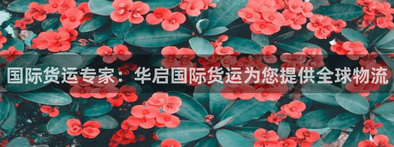 尊龙人生就是博官网登录手机：国际货运专家：华启国际货运为