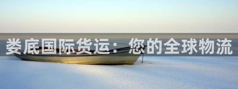 尊龙app最新版本官网：娄底国际货运：您的全球物流