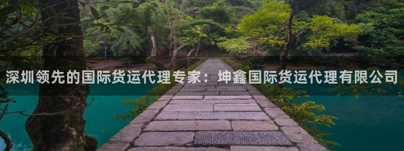 尊龙凯时总部在哪里：深圳领先的国际货运代理专家：坤鑫国际