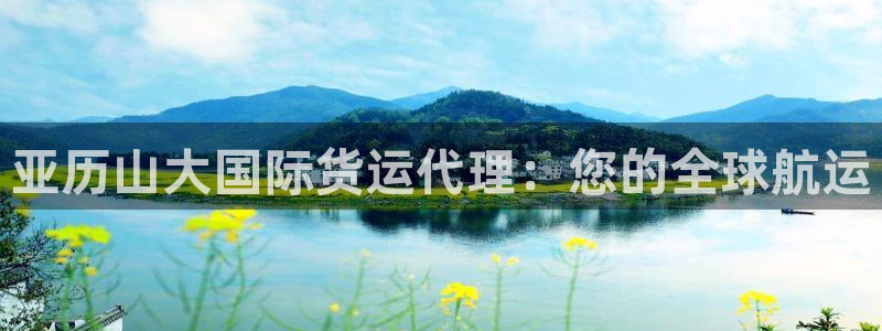 尊龙凯时一人生就是博登入：亚历山大国际货运代理：您的全球