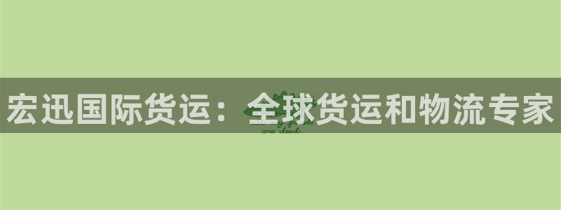 尊龙coming to my own：宏迅国际货运：全球