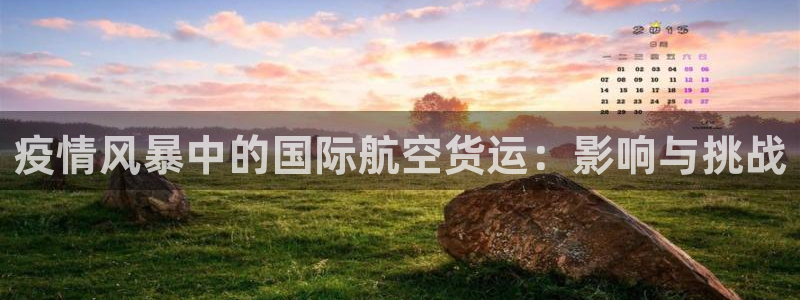 尊龙凯时取钱很慢：疫情风暴中的国际航空货运：影响与挑战