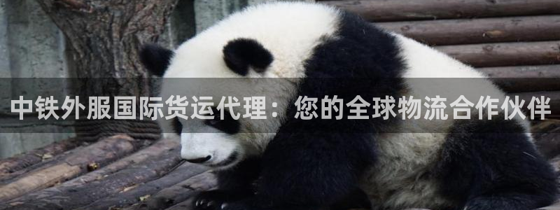尊龙凯时不给提款：中铁外服国际货运代理：您的全球物流合作