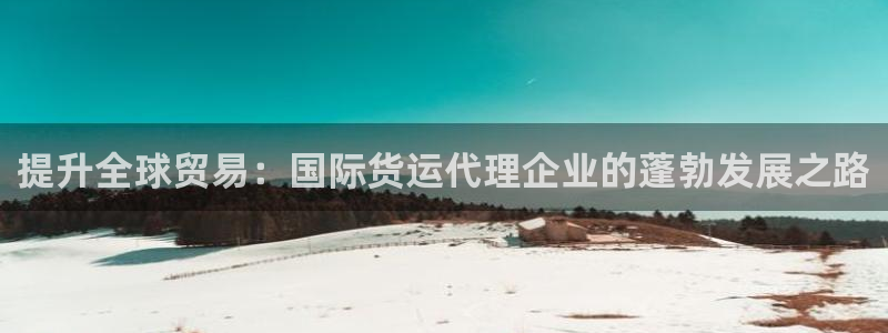 尊龙集团：提升全球贸易：国际货运代理企业的蓬勃发展之路
